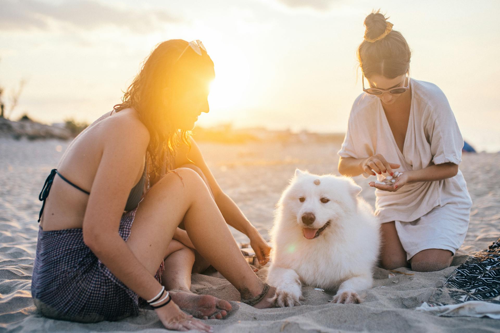 10 Tips to Keep Your Pet Happy and Healthy